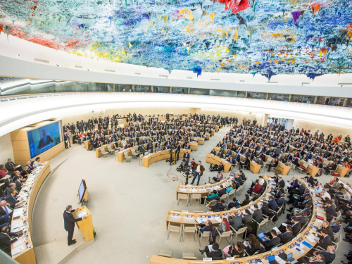 مركز حملة يحصل على الصفة الاستشارية في المجلس الاقتصادي والاجتماعي للأمم المتحدة (ECOSOC)