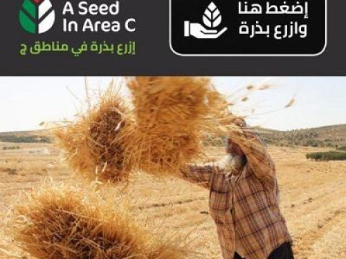 كلّنا نزرع: انطلاق حملة "ازرع بذرة في مناطق ج" لمناصرة المزارعين الفلسطينيّين