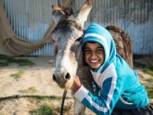 A story called Awajan